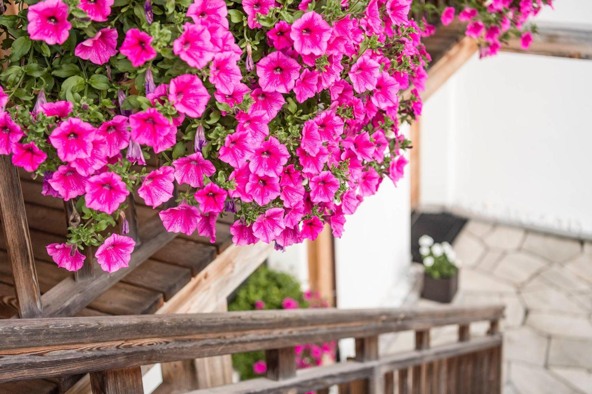 Agriturismo Maso Runch باديا المظهر الخارجي الصورة