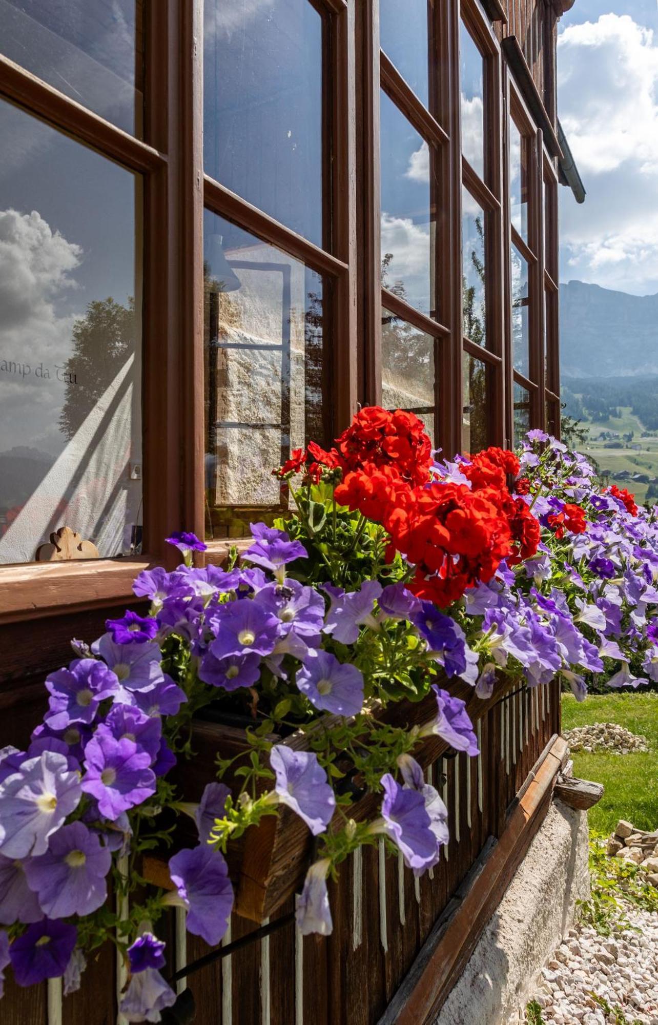 Agriturismo Maso Runch باديا المظهر الخارجي الصورة