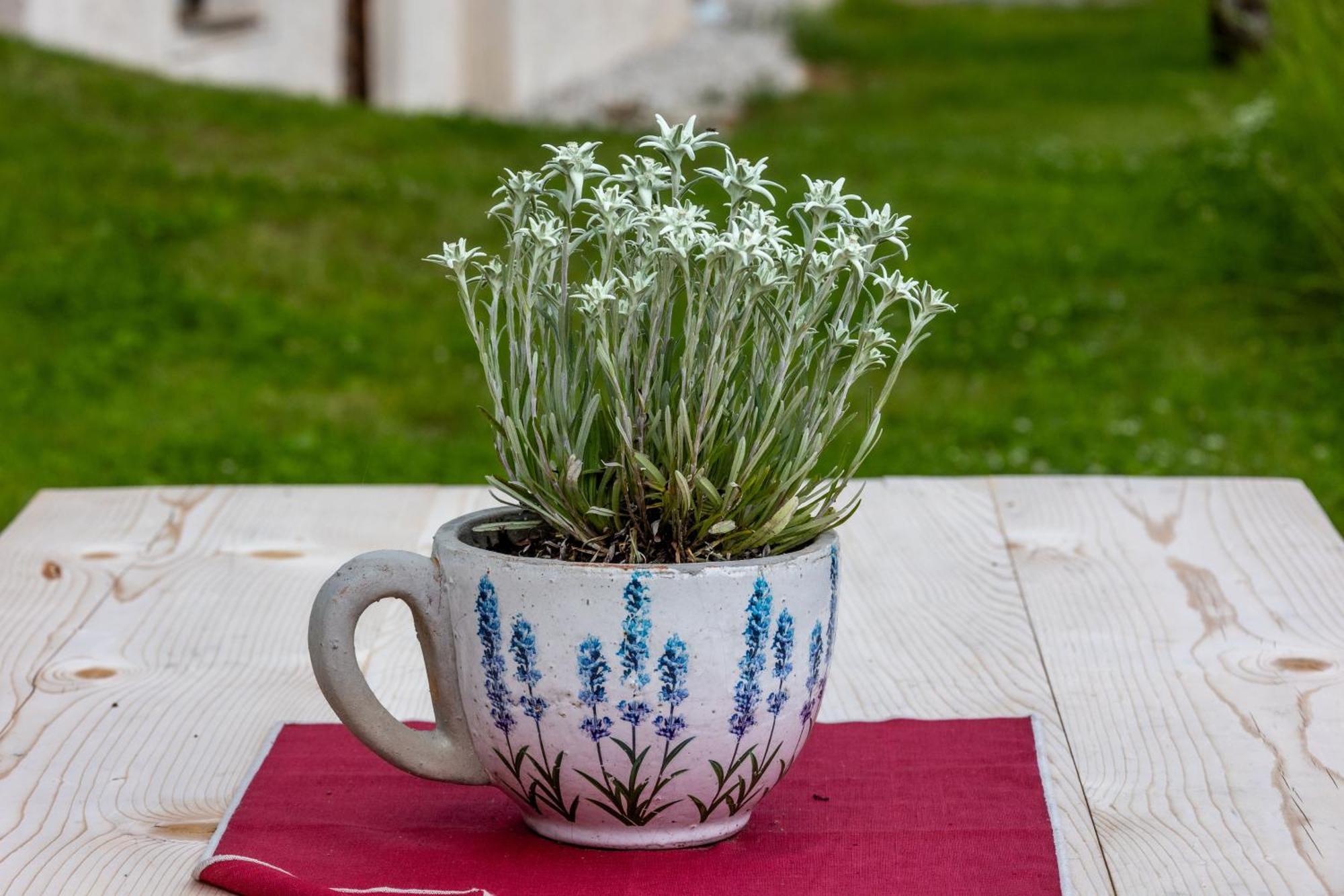 Agriturismo Maso Runch باديا المظهر الخارجي الصورة